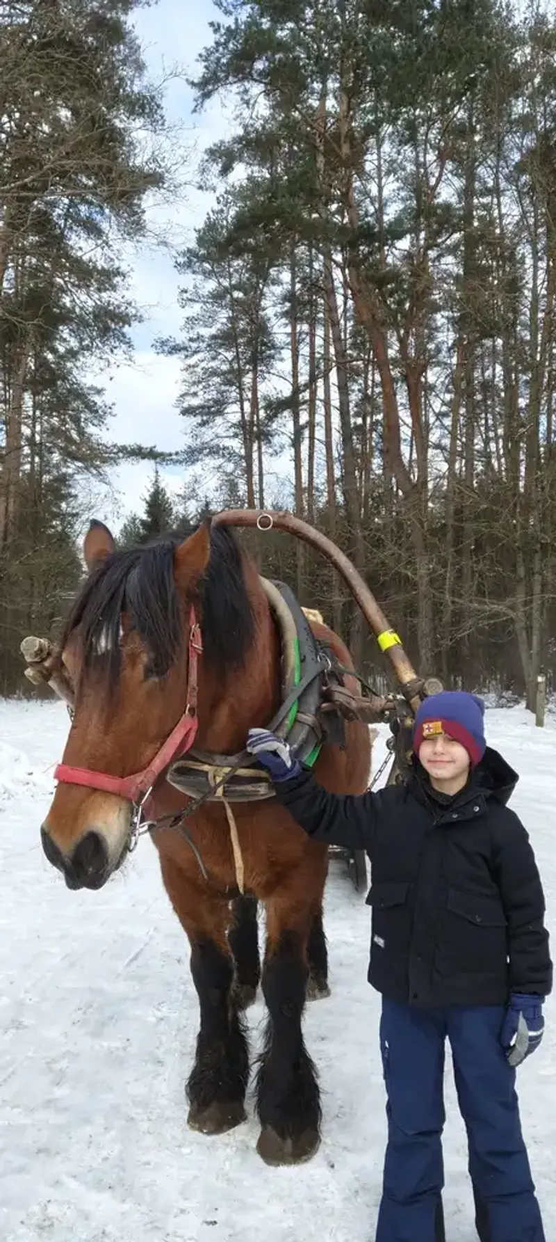Zimowe Półkolonie 2026
