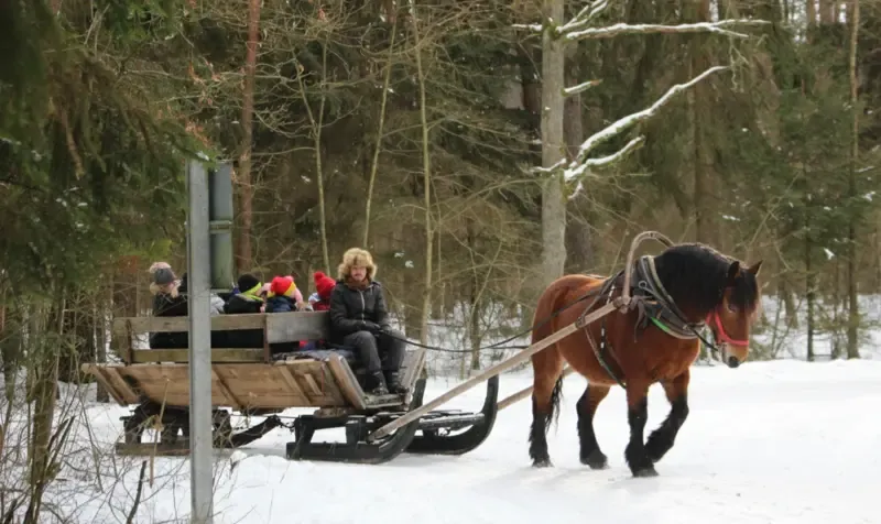 Zimowe Półkolonie 2026